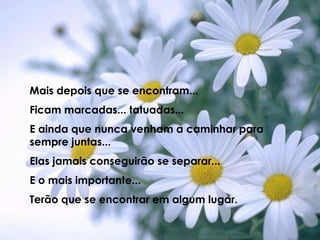 Mais depois que se encontram...Ficam marcadas... tatuadas...E ainda que nunca venham a caminhar para sempre juntas...Elas jamais conseguirão se separar...E o mais importante...Terão que se encontrar em algum lugar.
