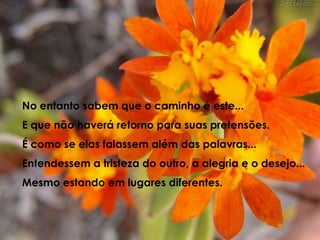 No entanto sabem que o caminho é este...E que não haverá retorno para suas pretensões.É como se elas falassem além das palavras...Entendessem a tristeza do outro, a alegria e o desejo...Mesmo estando em lugares diferentes.