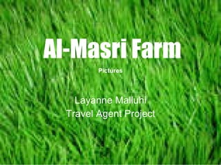 Al-Masri Farm Layanne Malluhi Travel Agent Project Pictures 