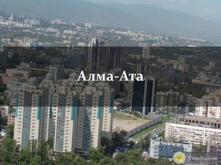 Алма-Ата
 