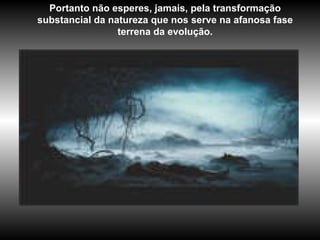 Portanto não esperes, jamais, pela transformação substancial da natureza que nos serve na afanosa fase terrena da evolução. 