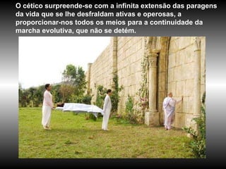 O cético surpreende-se com a infinita extensão das paragens da vida que se lhe desfraldam ativas e operosas, a proporcionar-nos todos os meios para a continuidade da marcha evolutiva, que não se detém.  