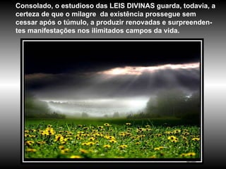 Consolado, o estudioso das LEIS DIVINAS guarda, todavia, a certeza de que o milagre  da existência prossegue sem cessar após o túmulo, a produzir renovadas e surpreenden-tes manifestações nos ilimitados campos da vida. 