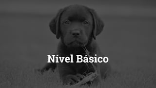 Nível Básico
 