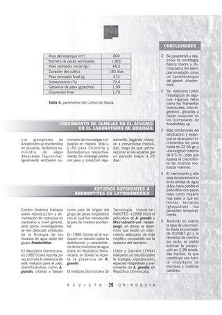 CONCLUSIONES

                 Área del estanque (m2)                        600                            Se caracterizó y des-
                 Número de peces sembrados                    1.800                           cribió la morfología
                                                                                              básica macro y mi-
                 Peso promedio inicial (gr.)                  48,2
                                                                                              croscópica del ejem-
                 Duración del cultivo                        183 días                         plar en estudio, como
                 Peso promedio final (g)                       413                            un Lamelibranquio
                 Sobrevivencia (%)                             79,4                           del género Anodon-
                                                                                              tites.
                 Ganancia de peso (g/pez/día)                  1,99
                 Conversión final                              1,75                           Se realizaron cortes
                                                                                              histológicos de algu-
                                                                                              nos órganos tales
                 Tabla 4. parámetros del cultivo de tilapia.                                  como los filamentos
                                                                                              branquiales, tubo di-
                                                                                              gestivos, gónadas y
                                                                                              tejido muscular en
                                                                                              los ejemplares de
                        CRECIMIENTO DE ALMEJAS EN EL ACUARIO                                  Anodontites sp.
                               EN EL LABORATORIO DE BIOLOGÍA                                  Bajo condiciones del
                                                                                              labotratorio y estan-
Los    ejemplares       de    ministro de microalgas cul-      damente, llegando inclusi-     que se alcanzaron in-
Anodontites sp mantenidos     tivadas en medios Bold y         ve a presentarse mortali-      crementos de peso
en acuarios, recibieron su-   C -30 para Chlorella y           dad, luego de que perma-       hasta de 32.55 gr. y
ministro      de     algas    Scenedesmus respectiva-          necieran en los acuarios por   una longitud máxima
desecadas (Spirulina).        mente. Sin embargo perdie-       un periodo mayor a 20          de 9.5 cm., dato que
Igualmente recibieron su-     ron peso y condición rápi-       días.                          supera el crecimien-
                                                                                              to de muchos mo-
                                                                                              luscos marinos.
                                                                                              El crecimiento y alta
                                                                                              tasa de sobrevivencia
                                                                                              en la almeja de agua
                                                                                              dulce, hace posible el
                                          ESTUDIOS REFERENTES A                               policultivo con peces
                                   ANODONTITES EN LATINOAMÉRICA                               tales como mojarra
                                                                                              roja pese a que las
                                                                                              formas lar varias
                                                                                              (gloquidios)      los
Existen diversos trabajos     como país de origen del          Tecnología Industrial-         parasitan temporal-
sobre reproducción y ali-     grupo de peces hospederos        INDOTEC - (1990) inició el     mente.
mentación de moluscos en      con el cual fue introducido      policultivo de A. grandis y
cautiverio a nivel general,   al país de manera acciden-       Macrobrachium rosen-           Teniendo en cuenta
pero pocos investigadores     tal.                             bergii, en donde se deter-     la tasa de crecimien-
se han dedicado al estudio                                     minó que existe un creci-      to diario en promedio
de la Biología de los         En 1986 Gómez et al rea-         miento adecuado de este        de (0,0987 gr) y la
bivalvos de agua dulce del    lizaron un estudio sobre la      mejillón, compatible con la    densidad de siembra
grupo Anodontidae.            distribución y característi-     cosecha del camarón.           por jaula, se podría
                              ca de los moluscos de agua                                      estimar la produc-
En República Dominicana,      dulce en República Domi-         Llibre y Calcaño (1994)        ción en 2.98 tonela-
en 1982 Cicero reporta por    nicana, en donde se repor-       realizaron un estudio sobre    das ha/año, lo que
vez primera la presencia de   ta la presencia de A.            la biología, reproducción,     constituye una fuen-
este molusco para el país,    grandis .                        especies hospederas y cre-     te importante de
identificándolo como A.                                        cimiento de A. grandis en      biomasa y material
grandis, citando a Taiwán     El Instituto Dominicano de       República Dominicana.          calcáreo.


                              R E V I S T A              26       O R I N O Q U I A
 