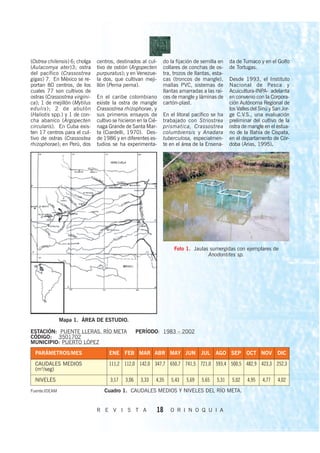 (Ostrea chilensis) 6; cholga   centros, destinados al cul-      do la fijación de semilla en    da de Tumaco y en el Golfo
(Aulacomya ater)3; ostra       tivo de ostión (Argopecten       collares de conchas de os-      de Tortugas.
del pacífico (Crassostrea      purpuratus); y en Venezue-       tra, trozos de llantas, esta-
gigas) 7. En México se re-     la dos, que cultivan meji-       cas (troncos de mangle),        Desde 1993, el Instituto
portan 80 centros, de los      llón (Perna perna).              mallas PVC, sistemas de         Nacional de Pesca y
cuales 77 son cultivos de                                       llantas amarradas a las raí-    Acuicultura-INPA- adelanta
ostras (Crassostrea virgini-   En el caribe colombiano          ces de mangle y láminas de      en convenio con la Corpora-
ca); 1 de mejillón (Mytilus    existe la ostra de mangle        cartón-plast.                   ción Autónoma Regional de
edulis); 2 de abulón           Crassostrea rhizophorae, y                                       los Valles del Sinú y San Jor-
(Haliotis spp.) y 1 de con-    sus primeros ensayos de          En el litoral pacífico se ha    ge C.V.S., una evaluación
cha abanico (Argopecten        cultivo se hicieron en la Cié-   trabajado con Striostrea        preliminar del cultivo de la
circularis). En Cuba exis-     naga Grande de Santa Mar-        prismatica, Crassostrea         ostra de mangle en el estua-
ten 17 centros para el cul-    ta (Ciardelli, 1970). Des-       columbiensis y Anadara          rio de la Bahía de Cispata,
tivo de ostras (Crassostea     de 1986 y en diferentes es-      tuberculosa, especialmen-       en el departamento de Cór-
rhizophorae); en Perú, dos     tudios se ha experimenta-        te en el área de la Ensena-     doba (Arias, 1995).




                                                                     Foto 1. Jaulas sumergidas con ejemplares de
                                                                                   Anodontites sp.




               Mapa 1. ÁREA DE ESTUDIO.

ESTACIÓN: PUENTE LLERAS. RÍO META                   PERÍODO: 1983 – 2002
CÓDIGO: 3501702
MUNICIPIO: PUERTO LÓPEZ

  PARÁMETROS/MES                     ENE FEB MAR ABR MAY JUN                      JUL    AGO SEP OCT NOV               DIC

  CAUDALES MEDIOS                    111,2 112,0 142,0 347,7 650,7 741,5 721,0 593,4 500,5 482,9 423,3 252,3
  (m3/seg)

  NIVELES                            3,17    3,06    3,33   4,35   5,43    5,69   5,65   5,31    5,02   4,95    4,77    4,02
Fuente:IDEAM                      Cuadro 1. CAUDALES MEDIOS Y NIVELES DEL RÍO META.


                               R E V I S T A                18     O R I N O Q U I A
 