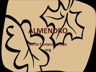 ALMENDRO
Berta Campos Laredo
5ºB
 
