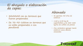 Abonado
• 40x40x40 cm en terrenos que
fueron preparados
• De 70-90-100cm en terrenos que
no estén preparados o con
pendiente
• Se aportan 40 t/ha de
estiércol
• 1.20 a 2.50 kg de
superfosfato y de 500-800
kg/ha de sulfato de potasa
• Con vertedera agregar tanto
estiércol como abonos
minerales
El ahoyado o elaboración
de cepas:
FERENHERF
 