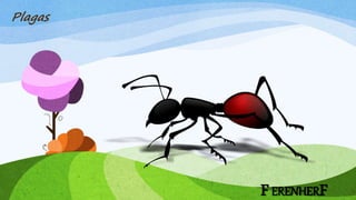 FERENHERF
Plagas
 