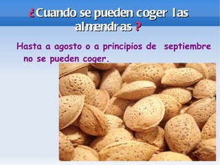 ¿ Cuando se pueden coger las almendras ? Hasta a agosto o a principios de septiembre no se pueden coger.