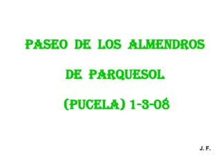 PASEO  DE  LOS  ALMENDROS  DE  PARQUESOL  (PUCELA) 1-3-08 J. F. 