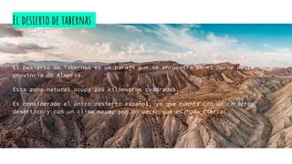 El desierto de tabernas
El Desierto de Tabernas es un paraje que se encuentra en el norte de la
provincia de Almería.
Esta zona natural ocupa 280 kilómetros cuadrados.
Es considerado el único desierto español, ya que cuenta con un carácter
desértico y con un clima seco, por no decir que es todo tierra.
 