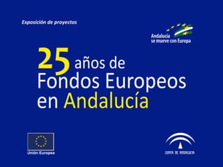 Exposición de proyectos 