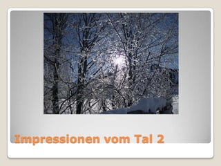 Impressionen vom Tal 2

 