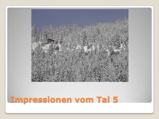 Impressionen vom Tal 5

 