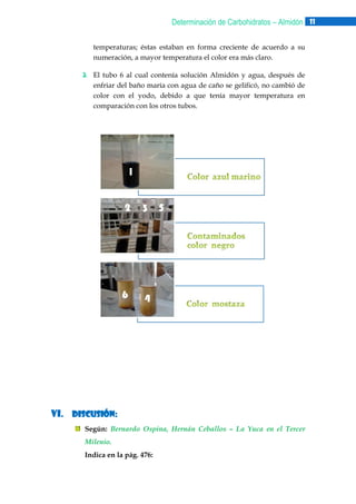 Determinación de Carbohidratos – Almidón 11
temperaturas; éstas estaban en forma creciente de acuerdo a su
numeración, a mayor temperatura el color era más claro.
2. El tubo 6 al cual contenía solución Almidón y agua, después de
enfriar del baño maría con agua de caño se gelificó, no cambió de
color con el yodo, debido a que tenía mayor temperatura en
comparación con los otros tubos.

1
2

3 5

6

4

VI. DISCUSIÓN:
Según: Bernardo Ospina, Hernán Ceballos – La Yuca en el Tercer
Milenio.
Indica en la pág. 476:

 