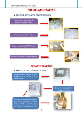 UNIVERSIDAD NACIONAL DEL SANTA
9
PRE GELATINIZACIÓN
PROCEDIMIENTO (PRE GELATINIZACIÓN)
GELATINIZACION
PROCEDIMIENTO(GELATINIZACION)
Preparar una suspensión de
almidón: agua (1:2.5p/p)
Poner en una placa Petri.
Secar en estufa a 160ªC/40min.
Retiramos, molemos y almacenamos.
Primero medimos almidón de yuca,
papa y trigo al 5% (1 gr. en 20 ml de
agua destilada).
Colocamos la solución en
vasos precipitados
En una cocina eléctrica colocamos
un vaso de precipitado con agua
hasta ebullición, con una pinza
colocamos los vasos precipitados
con la solución dentro de dicho vaso.
 