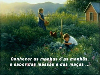 Conhecer as manhas e as manhãs,
o sabor das massas e das maçãs ...
 