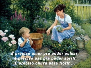 É preciso amor pra poder pulsar,
é preciso paz pra poder sorrir
É preciso chuva para florir ...

 