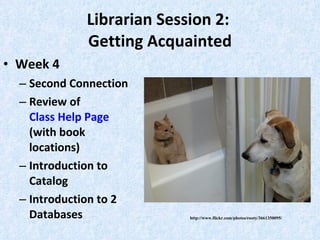 Librarian Session 2:  Getting Acquainted Week 4 Second Connection Review of  Class Help Page  (with book locations) Introduction to Catalog Introduction to 2 Databases http://www.flickr.com/photos/rooty/3661350095/ 