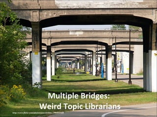Multiple Bridges:  Weird Topic Librarians http://www.flickr.com/photos/jamesbondsv/3904919485 / 