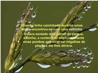 Lindas apresentações! 
• Quando tinha caminhado durante umas 
horas, encontrou-se com uma velhinha. 
• Estava sentada num banco do parque, 
Se quiser ver mais, acesse o blog 
sozinha, a contemplar silenciosamente 
umas pombas que bicavam migalhas de 
pão que ela lhes atirava. 
http://www.LUZNOINFINITO.BLOGSPOT.COM 
 