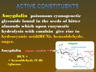 Amygdalin : poisonous cyanogenetic
glycoside found in the seeds of bitter
almonds which upon enzymatic
hydrolysis with emulsin give rise to
hydrocyanic acid(HCN), benzaldehyde,
suger.
Amygdalin enzyme emulsin + H2O
HCN +
+ benzaldehyde (V.O)
+glucose
 