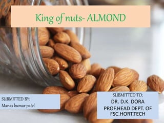 King of nuts- ALMOND
SUBMITTED TO:
DR. D.K. DORA
PROF.HEAD DEPT. OF
FSC.HORT.TECH
SUBMITTED BY:
Manas kumar patel
 