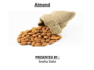 Almond
PRESENTED BY :
Sneha Dalvi
 