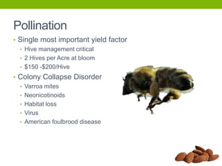 Pollination
• Single most important yield factor
• Hive management critical
• 2 Hives per Acre at bloom
• $150 -$200/Hive

• Colony Collapse Disorder
• Varroa mites
• Neonicotinoids
• Habitat loss
• Virus
• American foulbrood disease

 