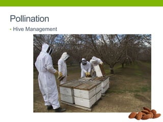 Pollination
• Hive Management

 