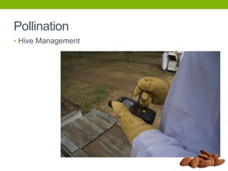 Pollination
• Hive Management

 