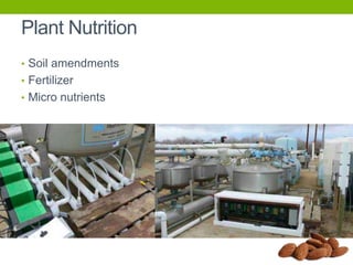 Plant Nutrition
• Soil amendments
• Fertilizer
• Micro nutrients

 