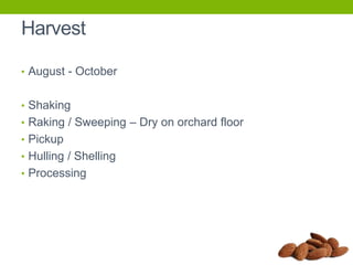 Harvest
• August - October
• Shaking
• Raking / Sweeping – Dry on orchard floor
• Pickup

• Hulling / Shelling
• Processing

 