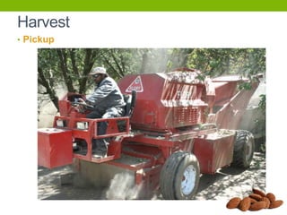 Harvest
• Pickup

 