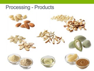 Processing - Products

 