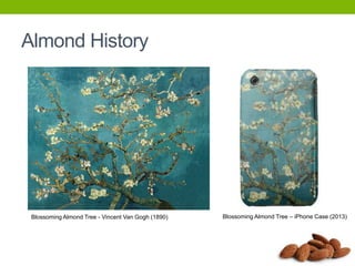 Almond History

Blossoming Almond Tree - Vincent Van Gogh (1890)

Blossoming Almond Tree – iPhone Case (2013)

 