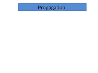 Propagation
 