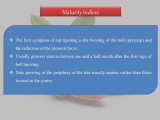 Almond production technology........pptx