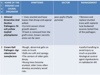 Almond production technology........pptx