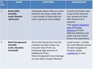 Almond production technology........pptx