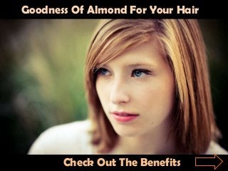 Goodness Of Almond For Your Hair




       Check Out The Benefits
 