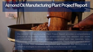 Almond Oil Manufacturing Plant Project Report By Procurement Resource | PDF