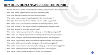 Setting Up an Almond Processing Plant Project Report 2024.pdf