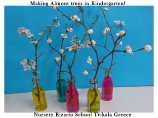 Nursery Rizario School Trikala Greece
Making Almont trees in Kindergarten!
 