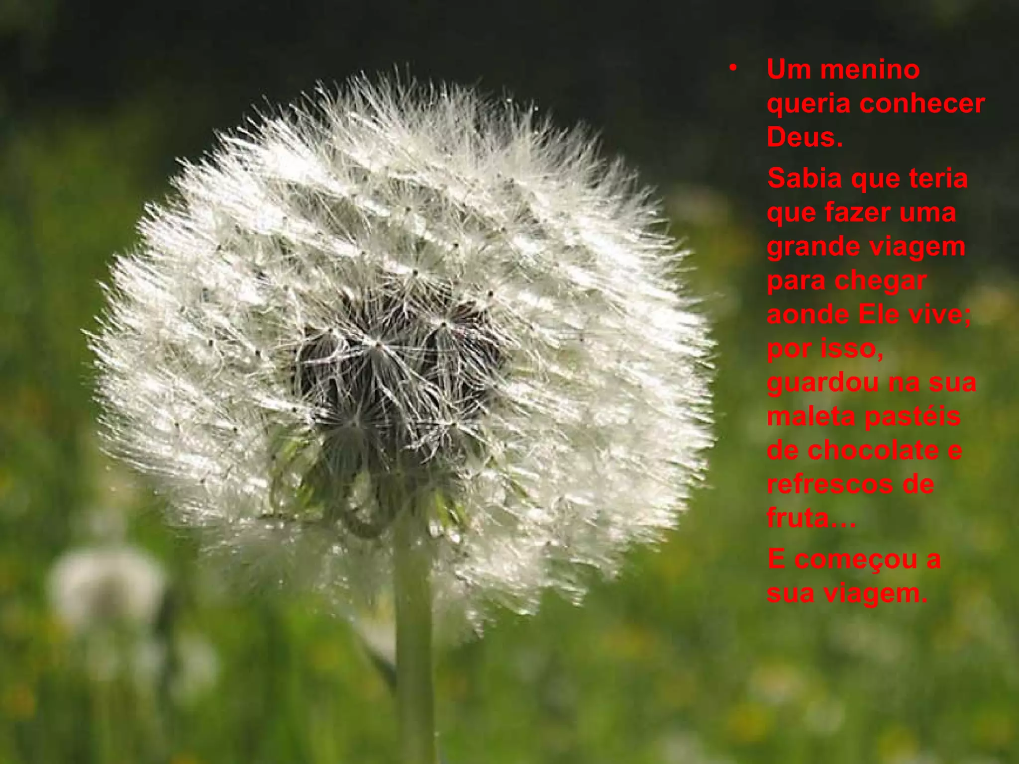 Um menino queria conhecer Deus.  Sabia que teria que fazer uma grande viagem para chegar aonde Ele vive; por isso, guardou na sua maleta pastéis de chocolate e refrescos de fruta… E começou a sua viagem.   