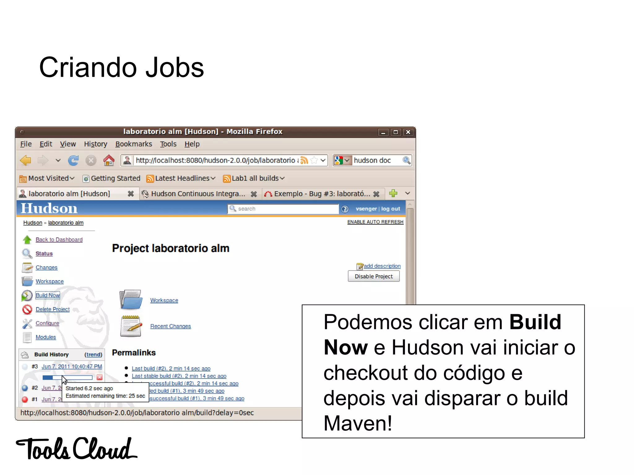 Criando Jobs
Podemos clicar em Build
Now e Hudson vai iniciar o
checkout do código e
depois vai disparar o build
Maven!
 