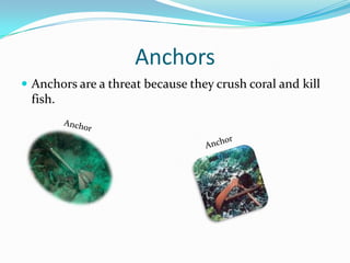 AnchorsAnchors are a threat because they crush coral and kill fish.AnchorAnchor