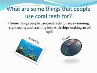What are some things that people use coral reefs for?Some things people use coral reefs for are swimming, sightseeing and crashing into with ships making an oil spill.  Oil spillSwimming