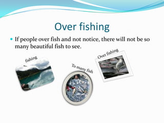 Over fishingIf people over fish and not notice, there will not be so many beautiful fish to see.Over fishingfishingTo many fish